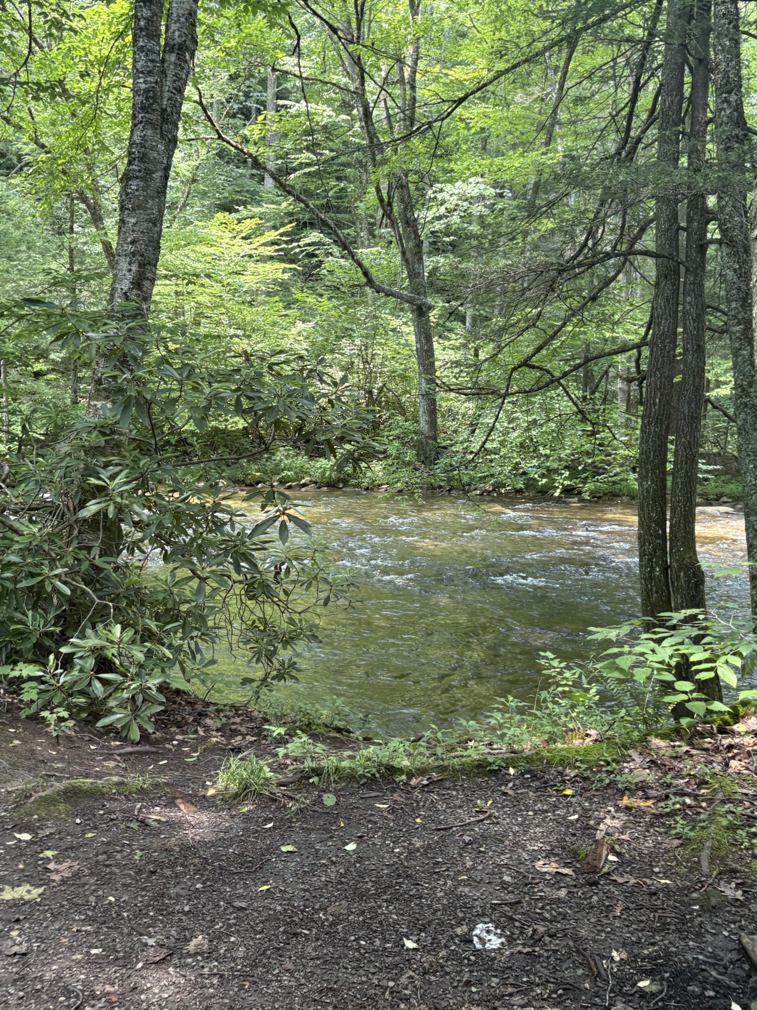 Vacation Spotlight: Summit Lake